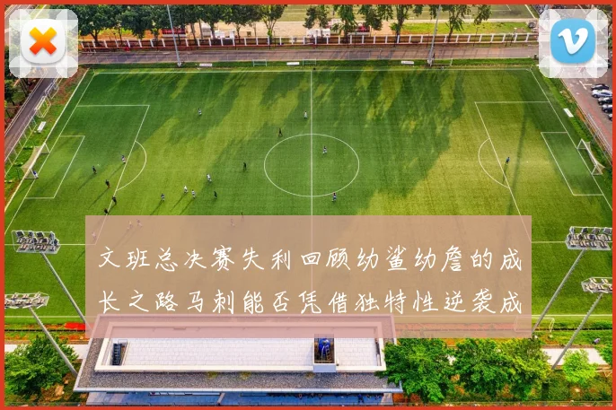 文班总决赛失利回顾幼鲨幼詹的成长之路马刺能否凭借独特性逆袭成功